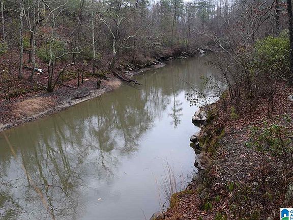 3rd image of LOT 11 Winding Creek Ln Lot 11