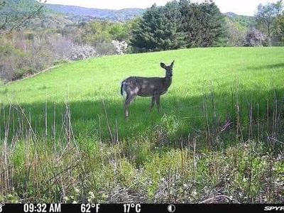 17031 NY 22, Petersburg, NY, 12138