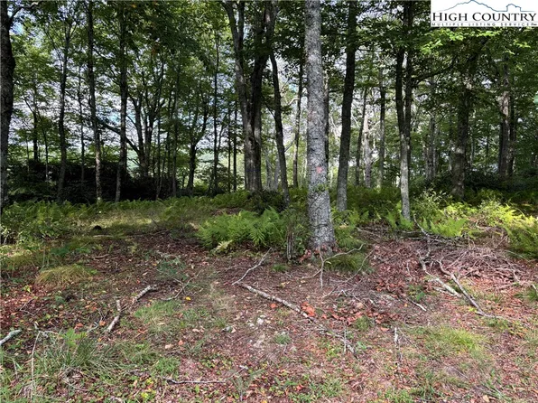 Lot 3 Fieldstone Hts Drive, Blowing Rock, NC 28605