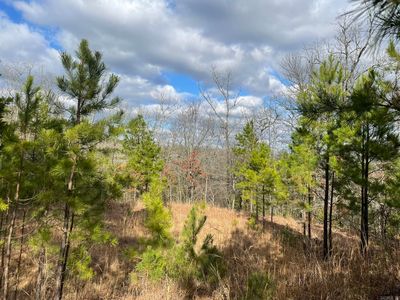 LOT 79 Red Oak Ln LOT 79, Mena, AR, 71953