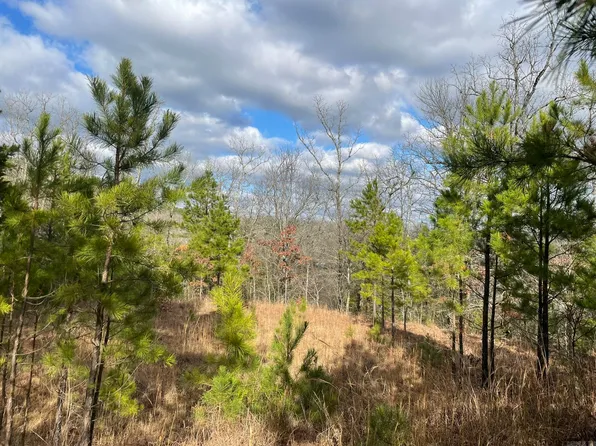 LOT 79 Red Oak Ln Lot 79, Mena, AR 71953