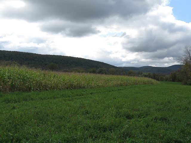 2nd image of 2282 State Route 165