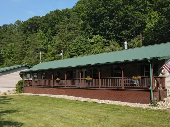 668 Bull River Run Rd, Grantsville, WV 26147