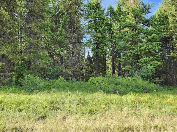 1130 Wilkins Rd, Deary, ID 83823