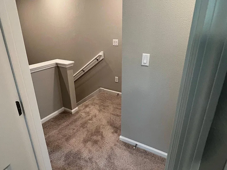 232 Mustard Hill Ct — Photo 46