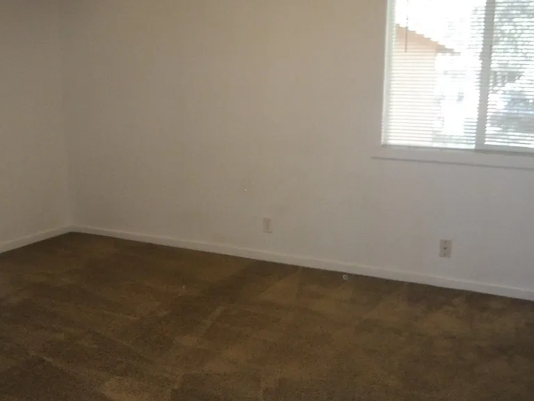 d510 — Photo 12