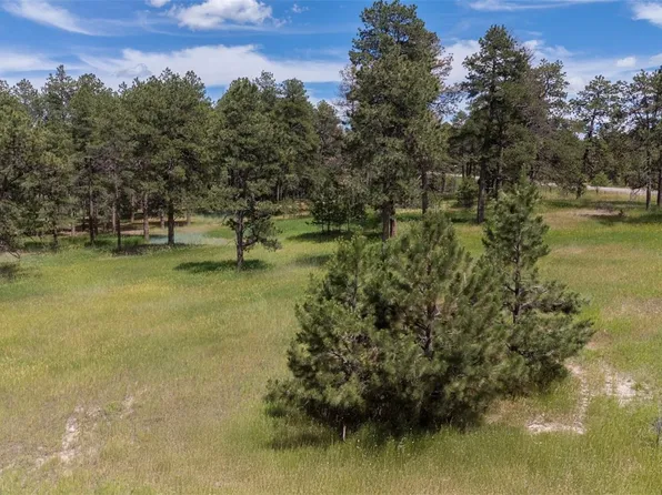 34050 Forest Park Drive, Elizabeth, CO 80107