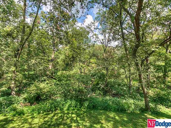 3rd image of 12713 Forestdale Dr