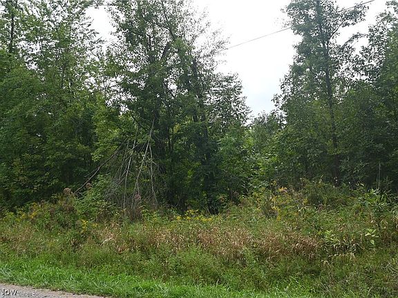 3rd image of Lewis Rd