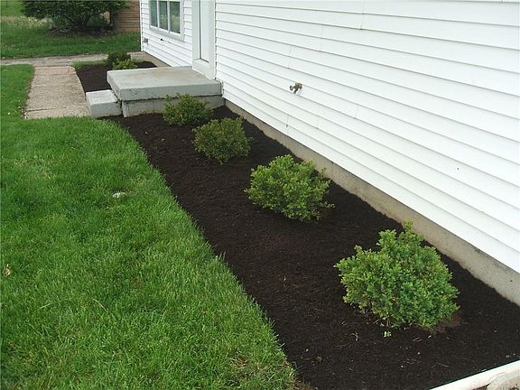 3rd image of 2333 E Dorothy Ln