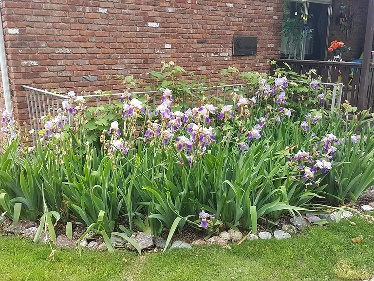 57 Congers Rd #G — Photo 13