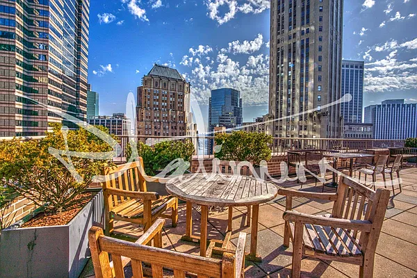 Rented by Platinum Properties | media 31