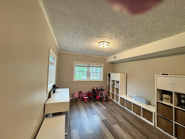 Bonus room on lower level
