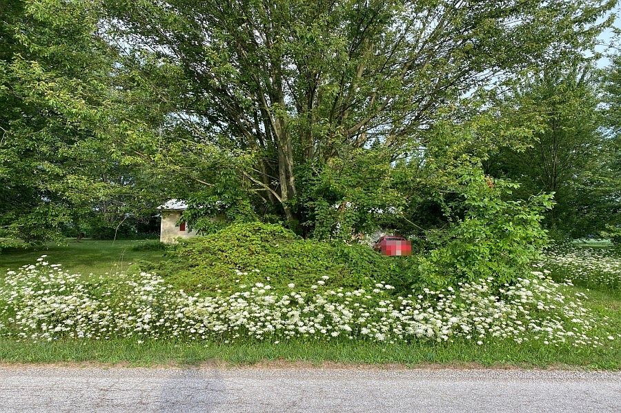 1st image of 4478 County Road 134