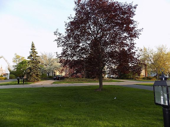 4th image of 5110 Forestdale Dr