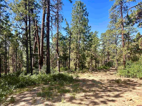 366 & 394 Pine Ridge Drive, Bayfield, CO 81122