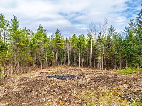 3 Forest Dr