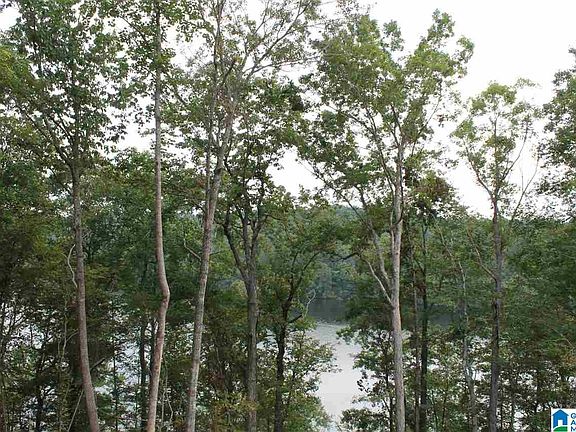5th image of 0 Ferry Oaks Dr Lot 22