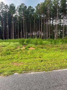 730 W Emerald, Sumter, SC, 29153