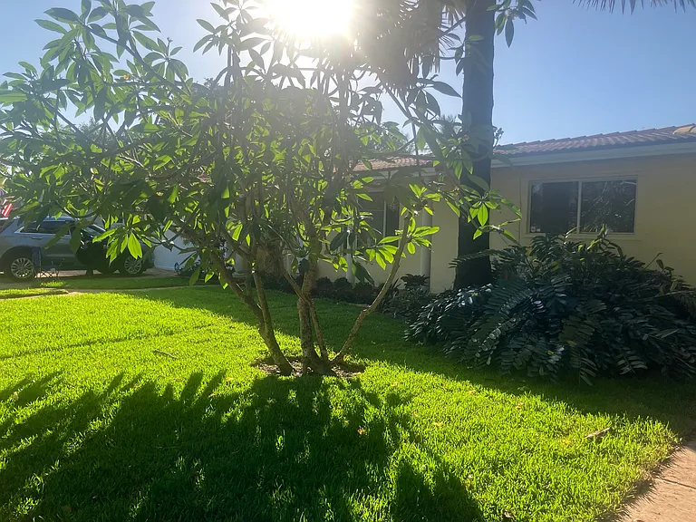Side view with new lawn and landscaping