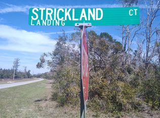 0 Strickland Landing Ct, Perry, FL 32348