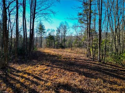 3399 Beaver Creek Rd, Boomer, NC, 28606