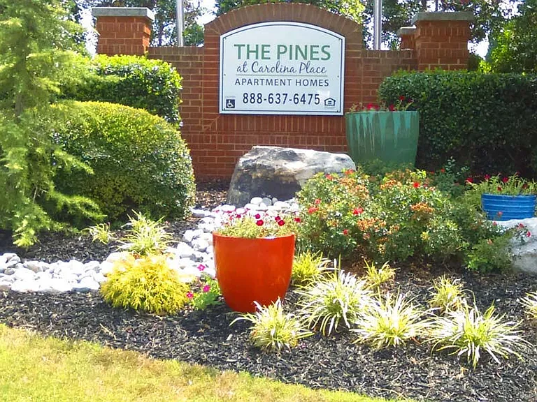 Pines at Carolina Place — Photo 13