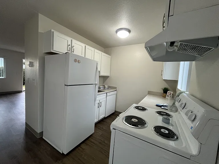 Mt. Pleasant Apartments — Photo 6