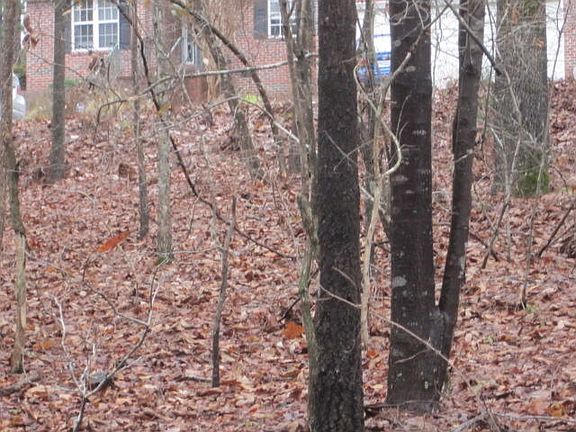5th image of 245 Kingswood Cir