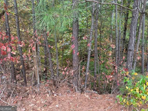123 Spring Lake Trl, White, GA 30184