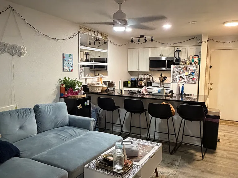 Living room and kitchen