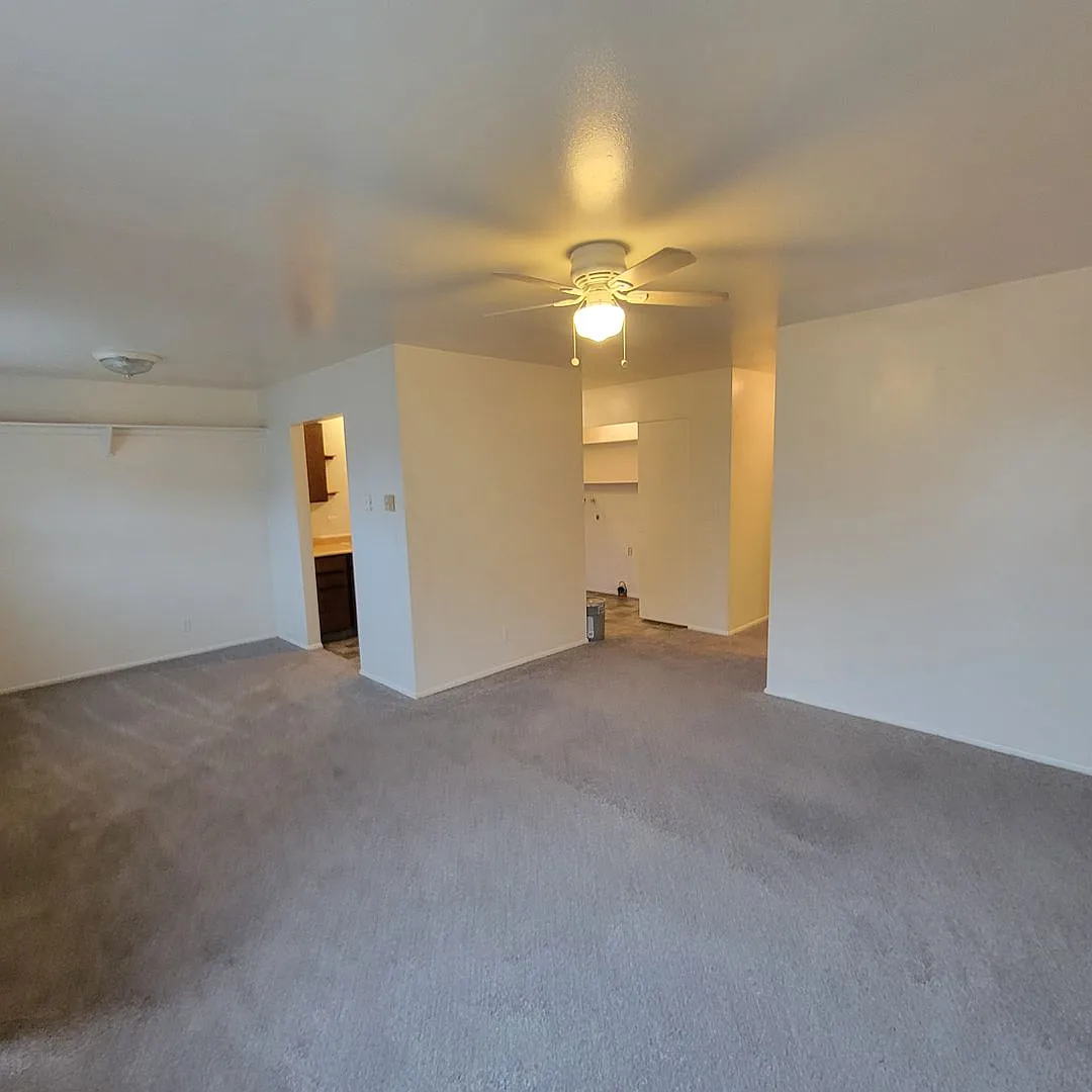 506 - Watts, Mary/Anthony B & Nina Revocable Trust — Photo 2