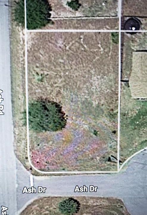 2nd image of Ash Rd