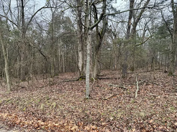 000 B Dr, Golden, MO 65658
