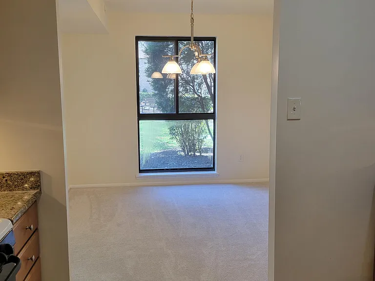 2049 Royal Fern Ct #2B — Photo 8
