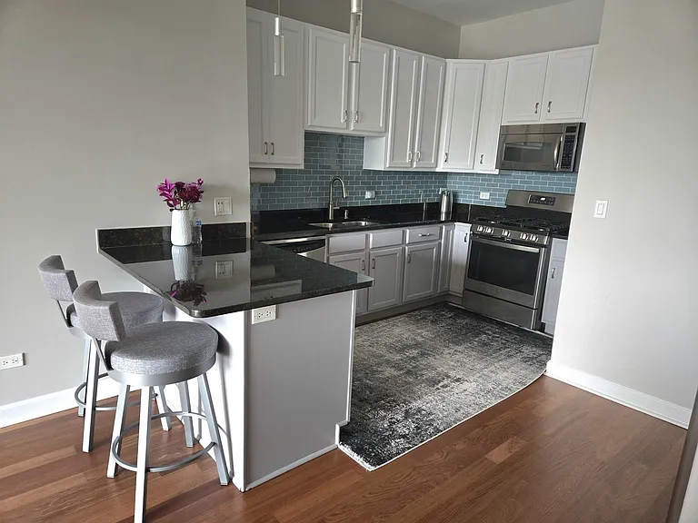 2900 W Irving Park Rd #305 — Photo 4