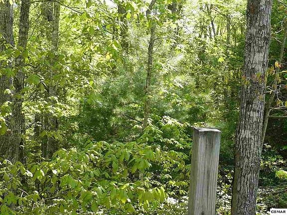 3rd image of 89 Bird View Ln Lot 89