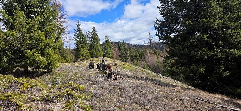 4th image of 1112 TBD Bandtman Creek Rd