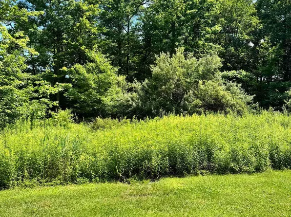 Tbd Woodview Dr, Bruceton Mills, WV 26525