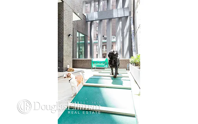 Rented by Douglas Elliman | media 51