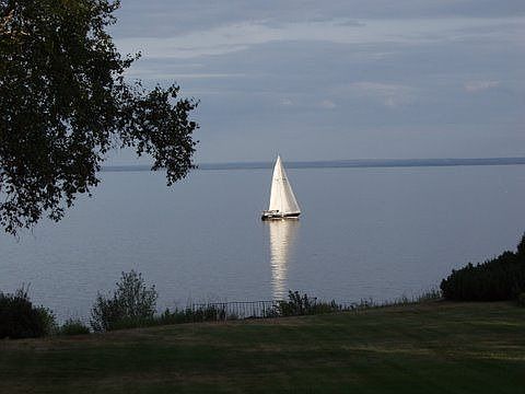 View from back Porch