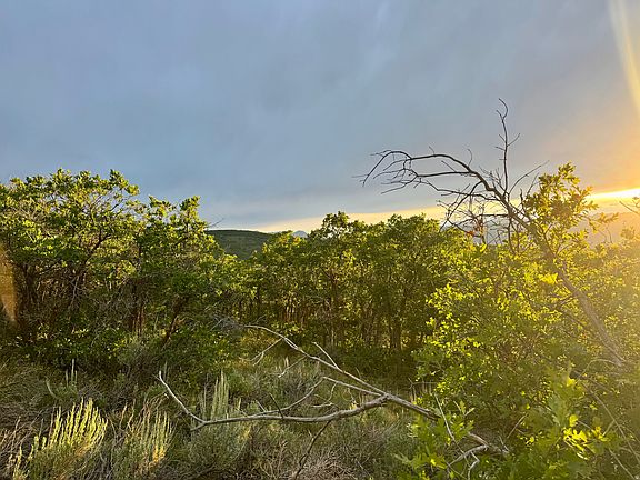5th image of 1556 S Tree Top Ln
