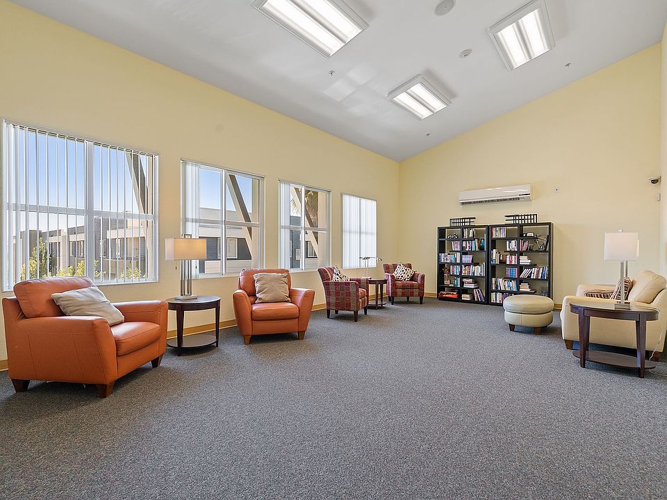 Sunny reading lounge with cozy armchairs, tall windows, and a shared bookshelf.