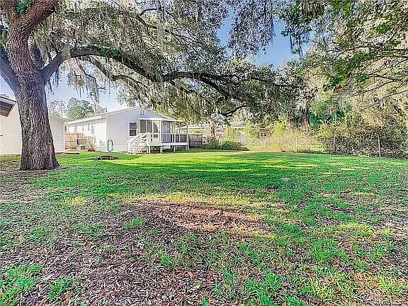 Back yard