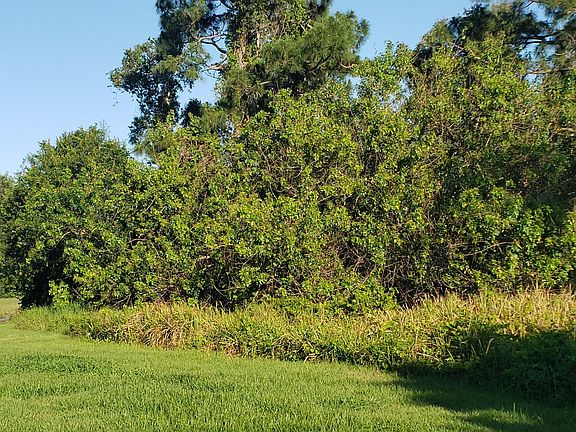 4th image of 6612 Hulda Dr