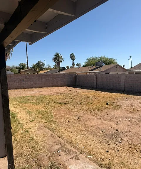 Backyard