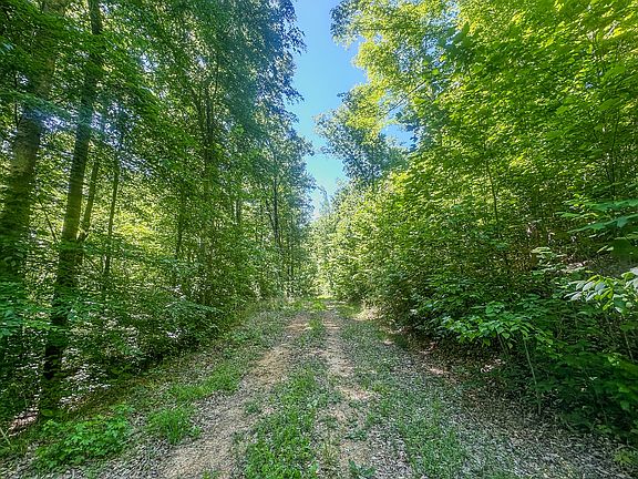5th image of 0 Mayberry Prong Rd