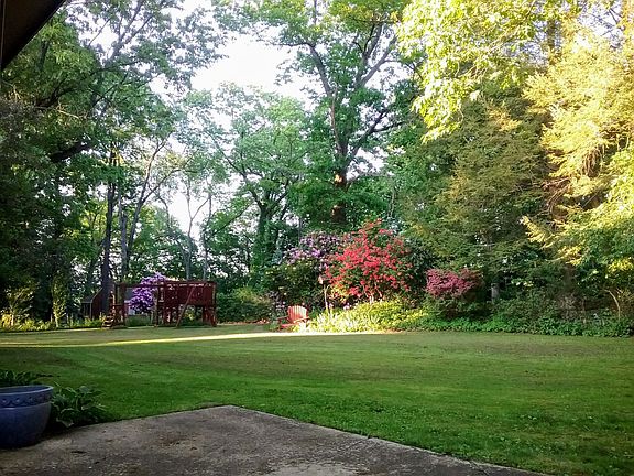 View from Patio, in Spring