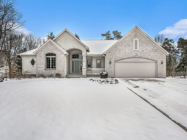 7172 Sassafras Ct, Allendale, MI 49401