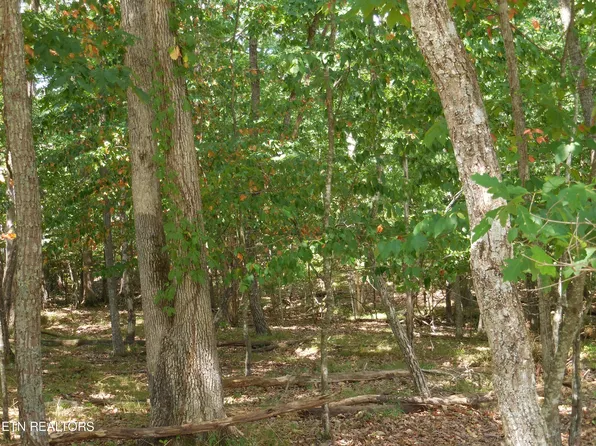 16 Havenridge Ct, Crossville, TN 38558